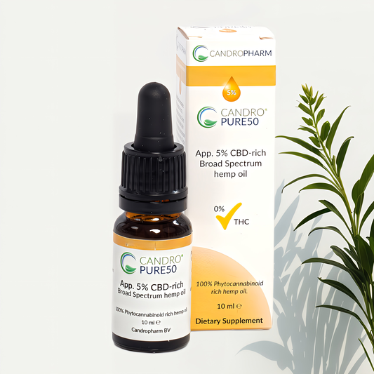 500mg CBD Oil